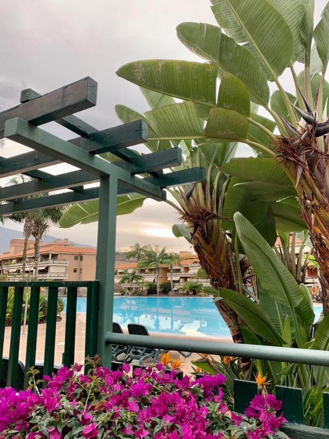 Piso Jardines Del Teide En El Puerto De La Cruz Apartamento Exterior foto